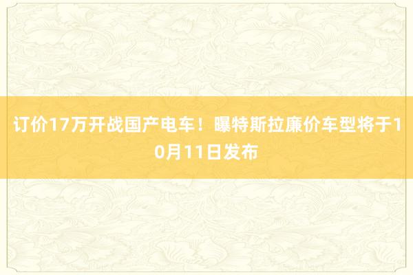 订价17万开战国产电车！曝特斯拉廉价车型将于10月11日发布