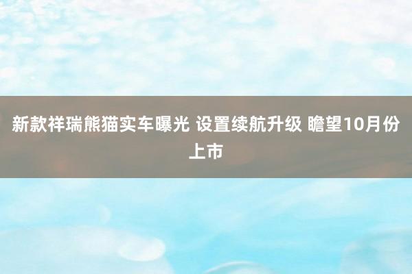 新款祥瑞熊猫实车曝光 设置续航升级 瞻望10月份上市