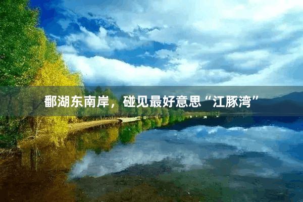 鄱湖东南岸，碰见最好意思“江豚湾”