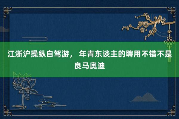 江浙沪操纵自驾游， 年青东谈主的聘用不错不是良马奥迪