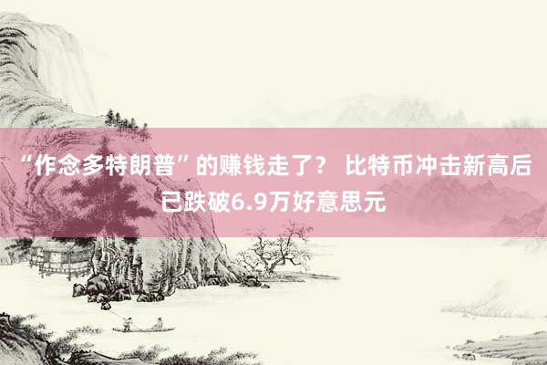 “作念多特朗普”的赚钱走了？ 比特币冲击新高后已跌破6.9万好意思元