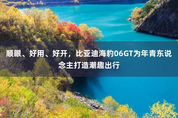 顺眼、好用、好开，比亚迪海豹06GT为年青东说念主打造潮趣出行