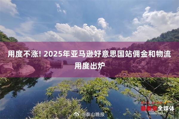 用度不涨! 2025年亚马逊好意思国站佣金和物流用度出炉