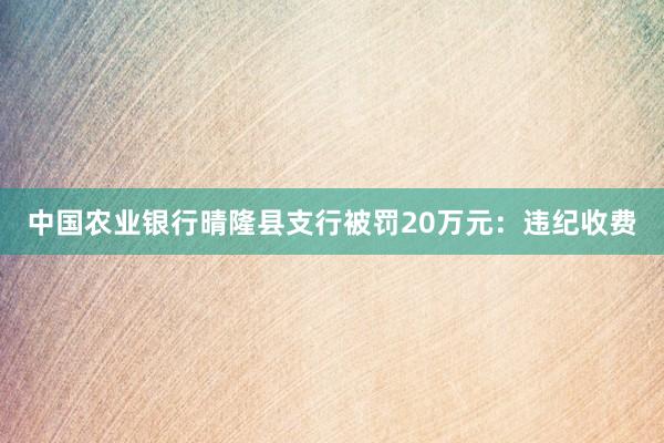 中国农业银行晴隆县支行被罚20万元：违纪收费